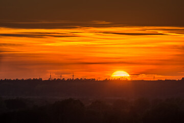 the yellow-orange sky over the setting sun among trees and windmills