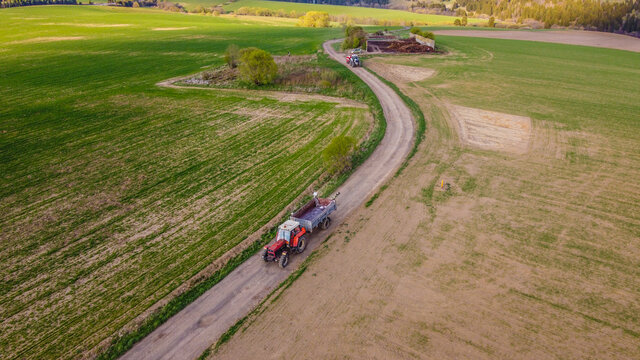 Spring in the fields 3