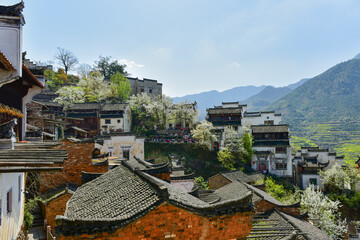 The houses with Jiangxi characteristics and the villages full of pear flowers are built on the hillside