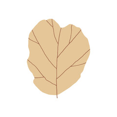 leaf, abstract, autumn symbol, shape, hand drawn, white background, cartoon style, colored, seasonal, spot illustration, element, simple, on white, fall season, decor, natural, nature, flat, plant, he
