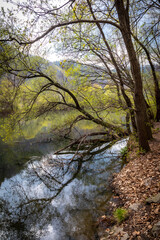 river Mur, wetlands in the north of Graz,Austria