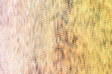 Textured red background. The texture of the sea stone is red-brown.