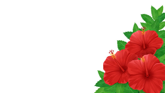 2 027 件の最適な アロハ素材 画像 ストック写真 ベクター Adobe Stock