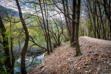 river Mur, wetlands in the north of Graz,Austria