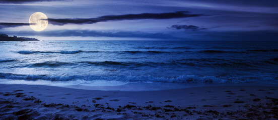summer vacation at the seaside at night. beautiful seascape in full moon light. calm waves wash the golden sandy beach. fluffy clouds on the sky