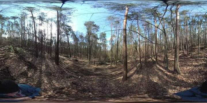 VR360, Mann l&auml;uft durch R&uuml;ckegasse im Wirtschaftswald nach Baumf&auml;llung mit Harvester, R&uuml;ckeweg, Holzernte, Bayern
Waldumbau