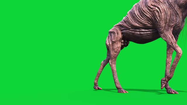 Quadrupedal Monster Green Screen Walks Front SCP Big Charlie 3D Animation 4K