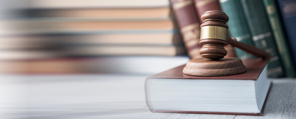 judge on law book