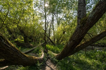 Parc du CRAPA à Nantes sur l'île Beaulieu