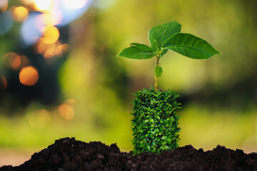 Investment ideas for profit
Coins and seedlings on natural blurred background