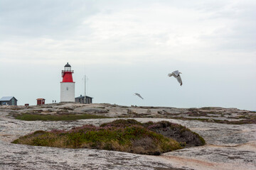 Fototapeta na wymiar Lighthouse on Hallo Island