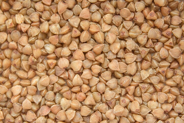 Buckwheat groats closeup. Buckwheat background.