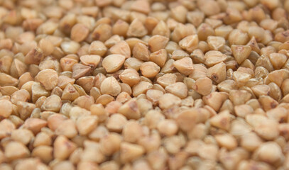 Buckwheat groats closeup. Buckwheat background.