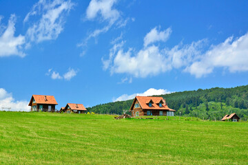 Fototapeta na wymiar Summer country landscape and blue sky with white clouds. Small holiday village under the mountain.