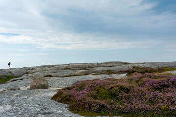 Fototapeta na wymiar Hallo Island in Sweden