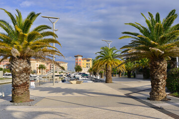 Sur le quai du canal Port Fréjus 2 avec ses palmiers à Fréjus (83600), département du Var en région Provence-Alpes-Côte-d'Azur, France