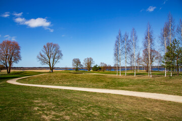 Fototapeta premium Sunny spring landscape on the banks of Kisezers lake with young birch trees in Riga, Latvia