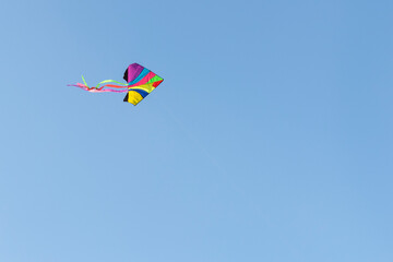 Fototapeta na wymiar Flying kite in cloudless blue sky.