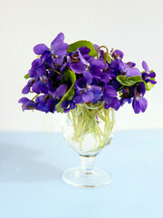 small posy of lila viola odorata flowers