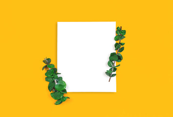 Floral flat lay mockup greeting card, dried green branches on a blank white paper, copy space and yellow background, top view