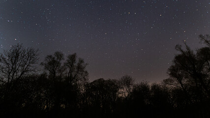 Obraz na płótnie Canvas Nachtaufnahme mit Sterne und Wald 