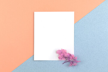 Blank white paper card with dried flowers on it, flat lay workspace concept with copy space, top view