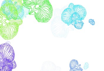 Light Blue, Green vector elegant template with flowers.