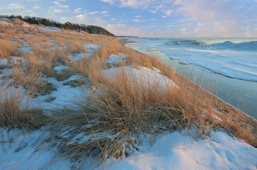 Winter landscape of beach grasses and the iced shoreline of Lake Michigan near sunset, Saugatuck Dunes State Park, Michigan, USA