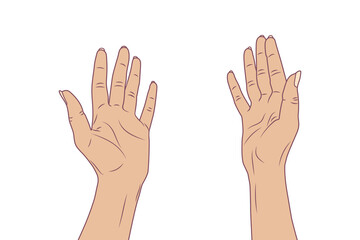Women's hands. Vector stock illustration eps10. Isolate on white background 