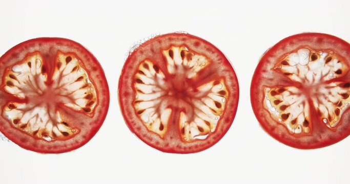 Crushing and squeezing three tomato slices. Crush juicy pieces of vegetables creating juice and pulp splash on clean white background. Squeeze fresh red tomatoes. Food style shooting
