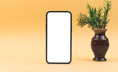 Sweet smartphone mockup, home and cozy concept, blank white screen with copy space, still life with dried grass