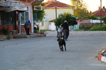Selective focus. 29.06.2019 Luleburgaz Turkey: dairy village elders uncle.