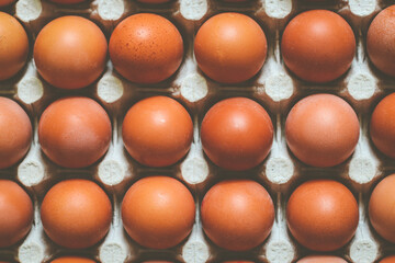 Brown chicken eggs