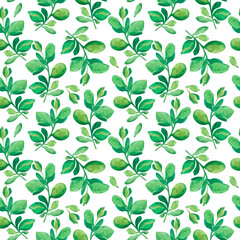 Seamless watercolor floral pattern - green leaves and branches composition on white background, perfect for wrappers, wallpapers, postcards, greeting cards, wedding invitations, romantic events