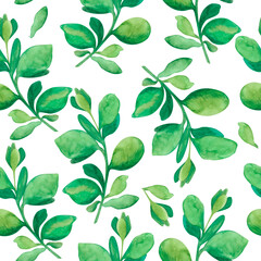 Fototapeta premium Seamless watercolor floral pattern - green leaves and branches composition on white background, perfect for wrappers, wallpapers, postcards, greeting cards, wedding invitations, romantic events