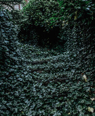 Green Leaves stairs