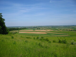 Fototapeta na wymiar Widok na pola wśród zielonej trawy na tle niebieskiego nieba