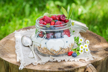 Muesli with berries and yogurt. Fit and healthy food.