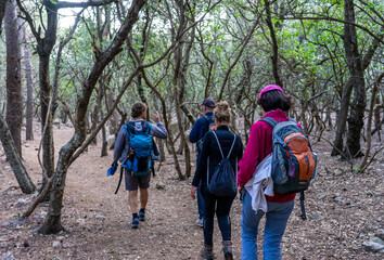 Obraz na płótnie Canvas Schönes Mallorca: Wanderung einer Gruppe Menschen durch den Steineichenwald im Naturpark nahe Valldemossa