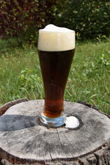 Glass of dark foamy beer on a stump in the garden