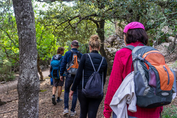 Schönes Mallorca: Wanderung durch den Steineichenwald im Naturpark nahe Valldemossa