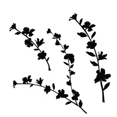 Fototapeta na wymiar Vector silhouettes of the branch of trees, with leaves, flowers, black color, isolated on white background