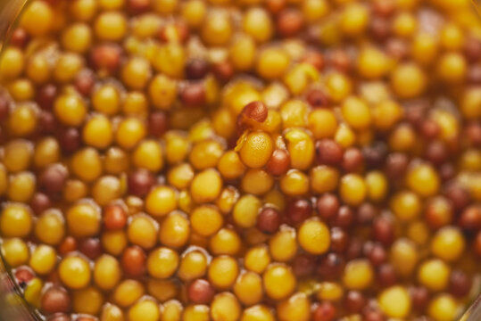 French mustard with whole seeds served in glass jar. Selective focus