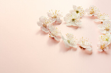 Delicate apricot flowers light in shape of heart on pink background, pastel and soft card
