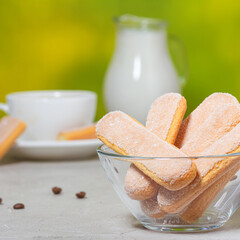 Italian savoiardi cookies or ladybugs cookies on a plate and a white cup of coffee and a jug of milk in the background. Selective focus