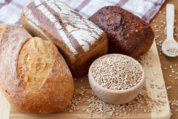 Różne rodzaje chleba i ziarna pszenicy