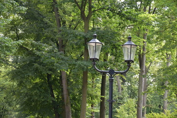 Urokliwa latarnia w parku uzdrowiskowym wokół  drzew