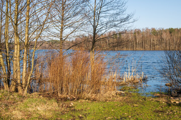 Spring time on the shore of the lake in Kashubia in Poland.