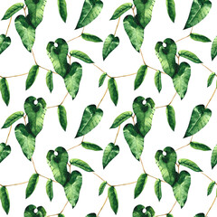 Watercolor green ivy seamless pattern on white background. Ornate botanical print. Foliage backdrop.