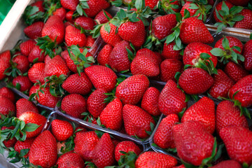 Strawberries on the market. Fresh, red strawberries are sold at the bazaar